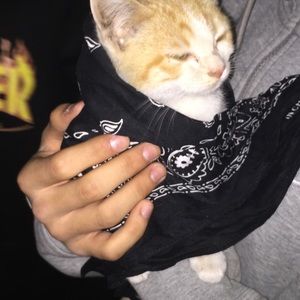 Meet your Posher, Vincent